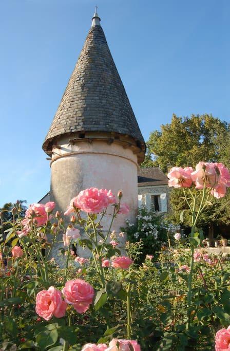 Le Peyret Serres-Castet Exterior foto